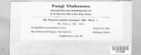 Puccinia epilobii-tetragoni image